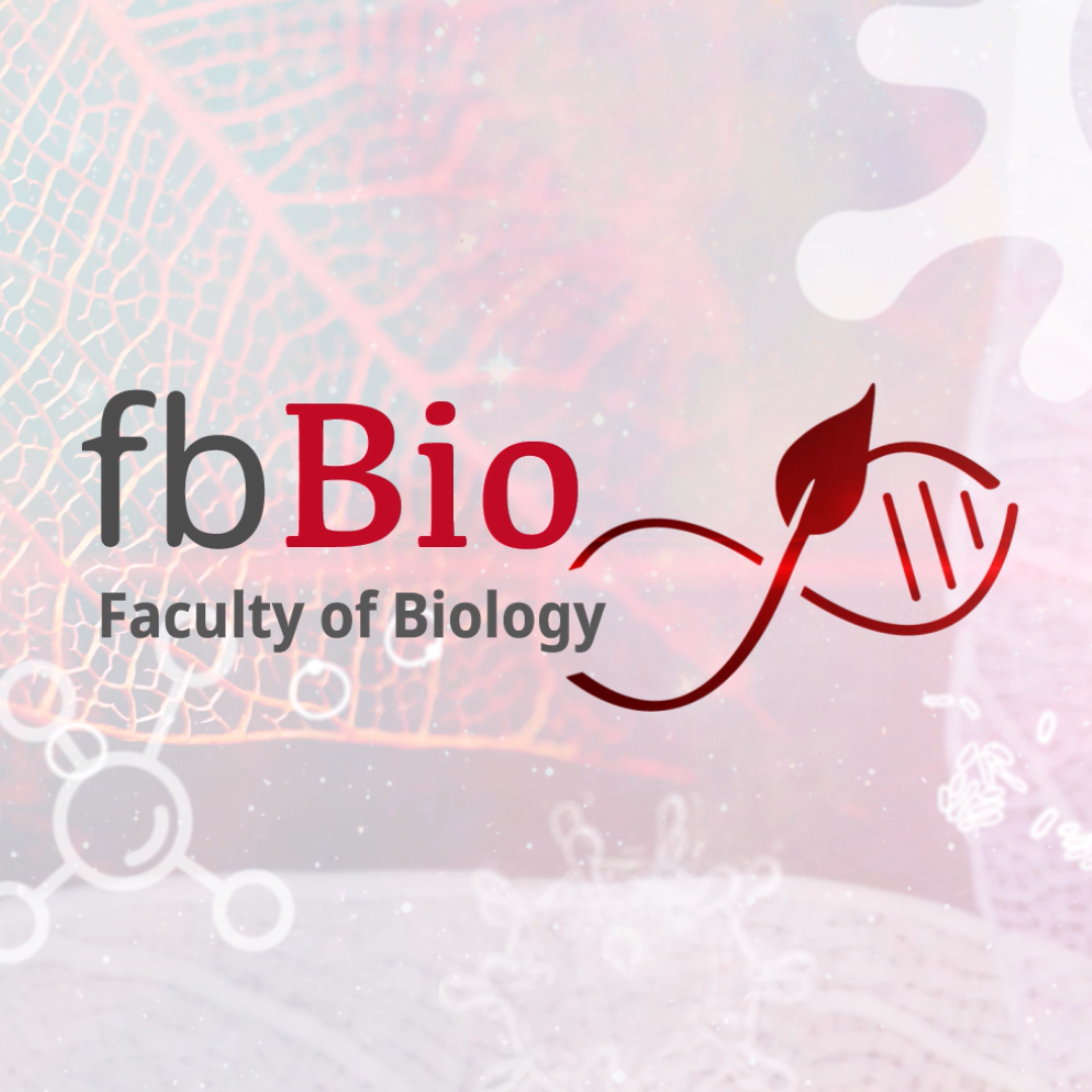 Filmreihe über Fachbereich Biologie an der JGU online